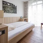 Loetschberg 3* Interlaken