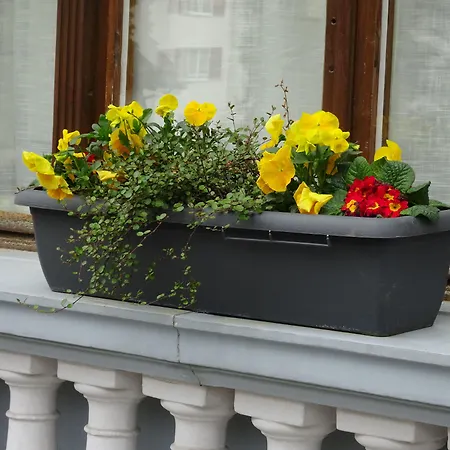 Szálloda Loetschberg