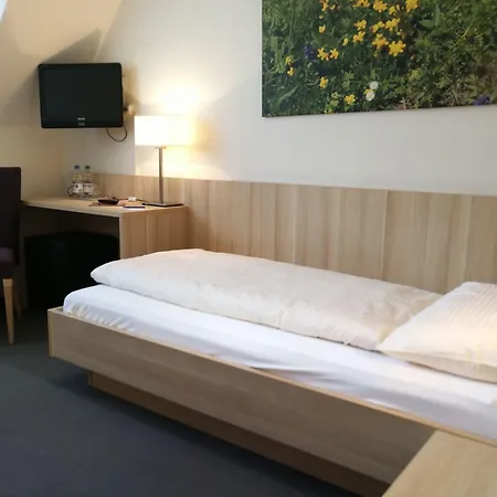 Loetschberg Szálloda Interlaken