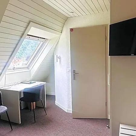 Loetschberg Hotel 3*