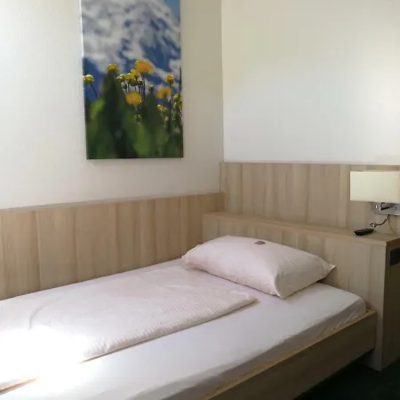 Loetschberg Hotel Interlaken