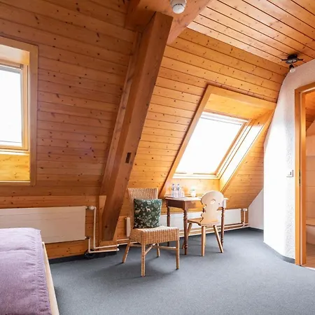 Loetschberg Hotel 3*