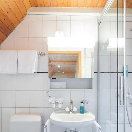 Loetschberg Hotel 3*