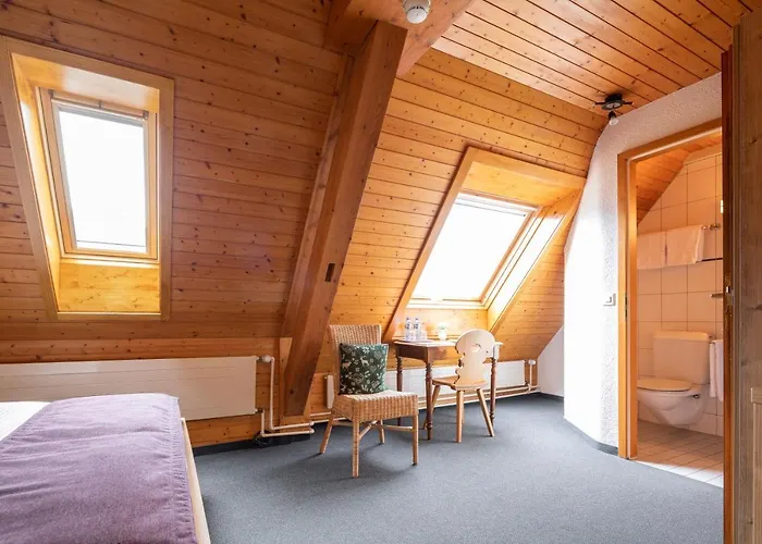 Loetschberg Hotel 3*