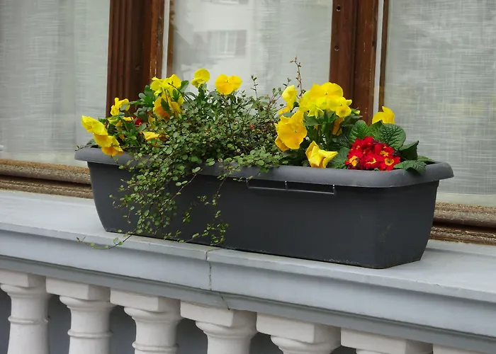 ホテル ロシュベルグ