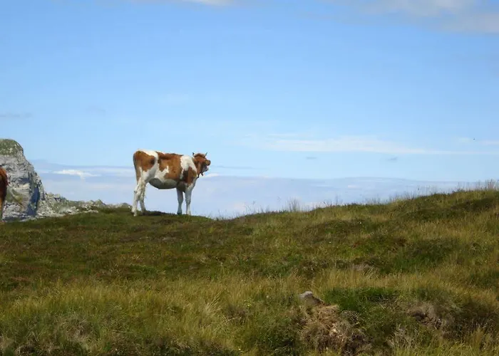 ロシュベルグ ホテル