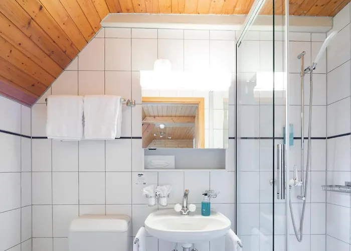 ロシュベルグ ホテル 3*