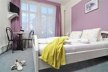 Hotell Loetschberg 3*